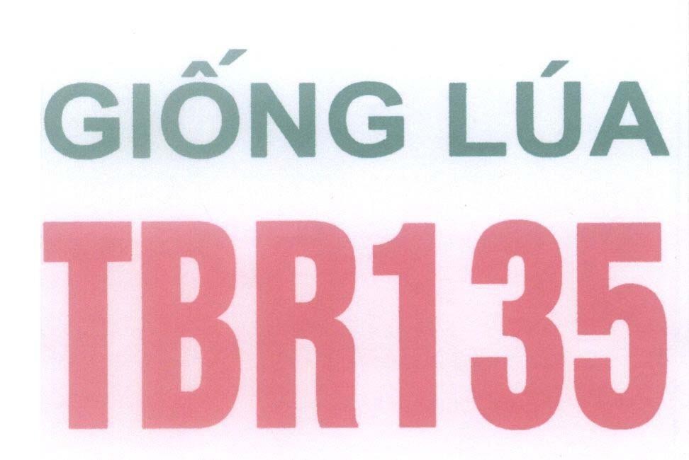 Mẫu nhãn hiệu Giống Lúa TBR135