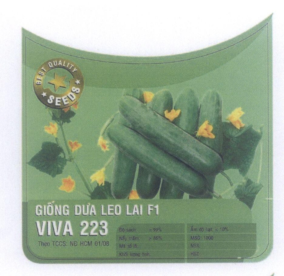 Mẫu nhãn hiệu VIVA 223 Giống Dưa Leo Lai F1 BEST QUALITY SEEDS