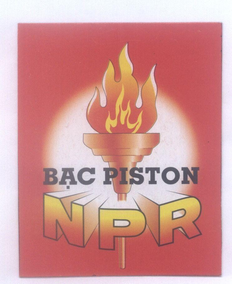 Mẫu nhãn hiệu Bạc PISTON NPR