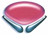 Mẫu nhãn hiệu Nhãn hiệu 896894