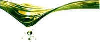 Mẫu nhãn hiệu Nhãn hiệu 953885