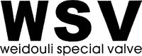 Mẫu nhãn hiệu WSV weidouli special valve