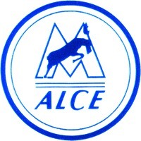 Mẫu nhãn hiệu ALCE