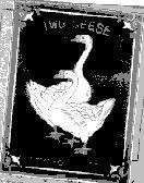 Mẫu nhãn hiệu TWO GEESE