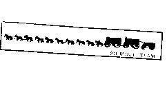 Mẫu nhãn hiệu 20 Mule team