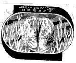 Mẫu nhãn hiệu AFRICAN-SEA-COCONUT