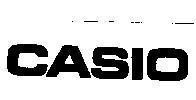 Mẫu nhãn hiệu CASIO