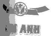 Mẫu nhãn hiệu KIM ANH