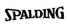 Mẫu nhãn hiệu SPALDING