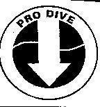 Mẫu nhãn hiệu PRO DIVE