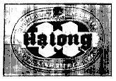 Mẫu nhãn hiệu H Hạ Long