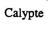 Mẫu nhãn hiệu CALYPTE