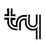 Mẫu nhãn hiệu TRY