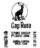 Mẫu nhãn hiệu CAP RUSA-GENERAL PURPOSE WHEAT FLOUR
