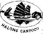 Mẫu nhãn hiệu HALONG CANFOCO