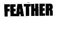 Mẫu nhãn hiệu FEATHER