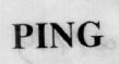 Mẫu nhãn hiệu PING