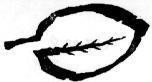 Mẫu nhãn hiệu Nhãn hiệu VN-4-1997-32738