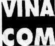 Mẫu nhãn hiệu VINA COM