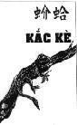 Mẫu nhãn hiệu kắc kè