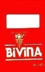 Mẫu nhãn hiệu BIVINA BV