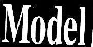 Mẫu nhãn hiệu MODEL