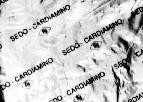 Mẫu nhãn hiệu HG SEDO CARDIAMINO