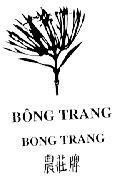 Mẫu nhãn hiệu BONG TRANG