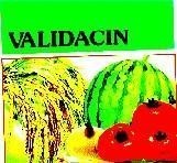 Mẫu nhãn hiệu VALIDACIN