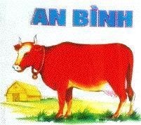 Mẫu nhãn hiệu An Bình