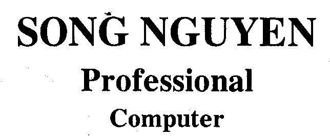Mẫu nhãn hiệu SONG NGUYEN Professional Computer