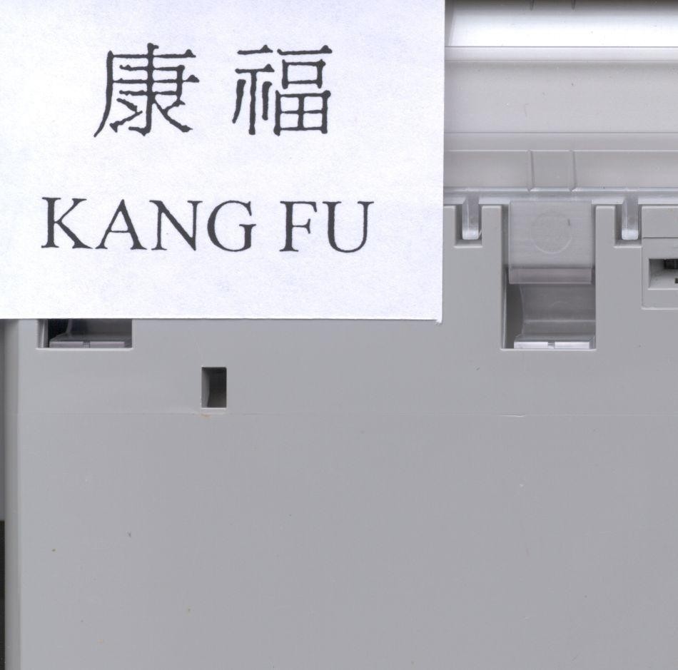 Mẫu nhãn hiệu KANG FU