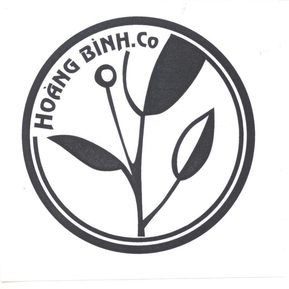 Mẫu nhãn hiệu Hoàng Bình.CO