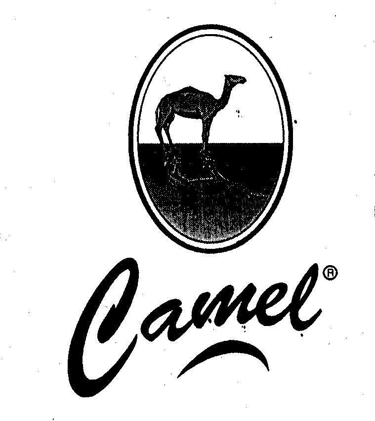 Mẫu nhãn hiệu CAMEL