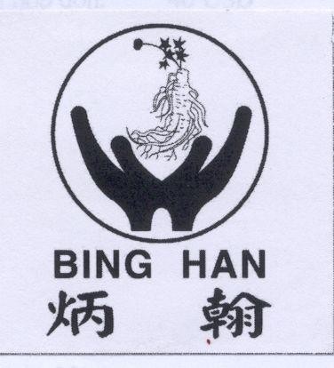 Mẫu nhãn hiệu BING HAN