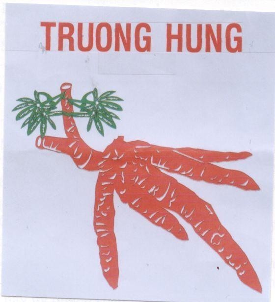 Mẫu nhãn hiệu TRUONG HUNG
