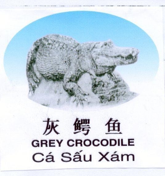 Mẫu nhãn hiệu GREY CROCODILE Cá Sấu Xám HUI E YU