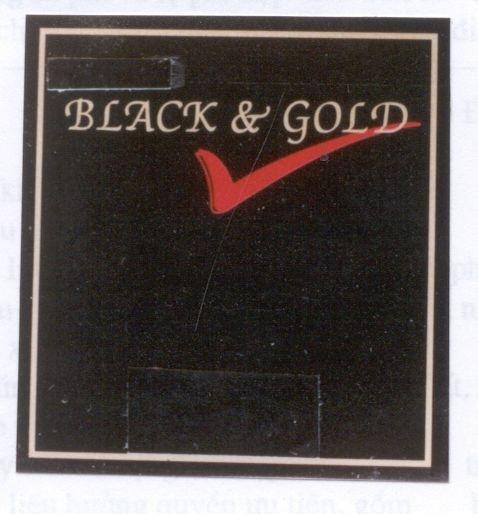 Mẫu nhãn hiệu BLACK & GOLD V