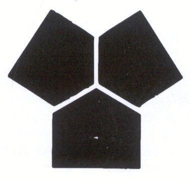 Mẫu nhãn hiệu Nhãn hiệu VN-4-2002-05027
