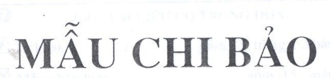 Mẫu nhãn hiệu MẫU CHI BảO
