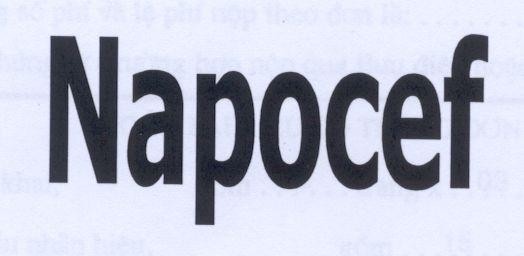 Mẫu nhãn hiệu NAPOCEF
