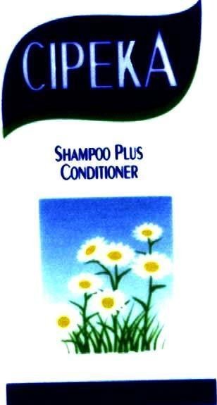 Mẫu nhãn hiệu CIPEKA SHAMPOO PLUS CONDITIONER