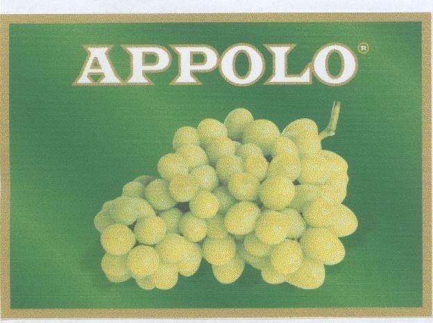 Mẫu nhãn hiệu APPOLO