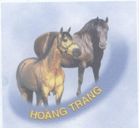 Mẫu nhãn hiệu Hoàng Trang