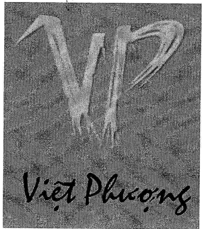 Mẫu nhãn hiệu VP VIệT PHƯợNG