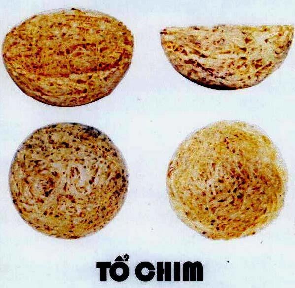 Mẫu nhãn hiệu Tổ CHIM