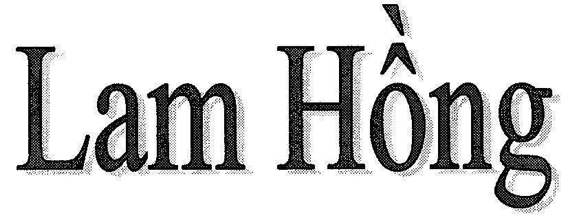 Mẫu nhãn hiệu LAM HồNG