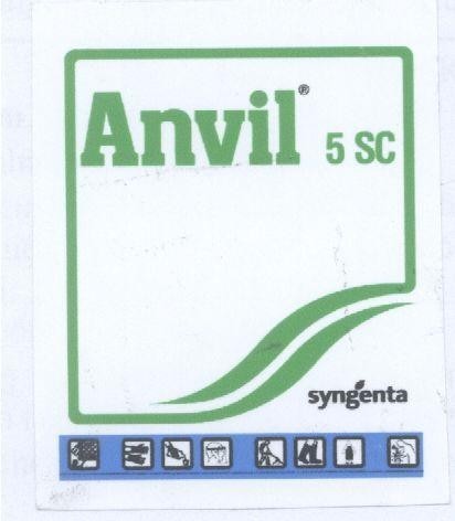 Mẫu nhãn hiệu ANVIL SYNGENTA 5 SC
