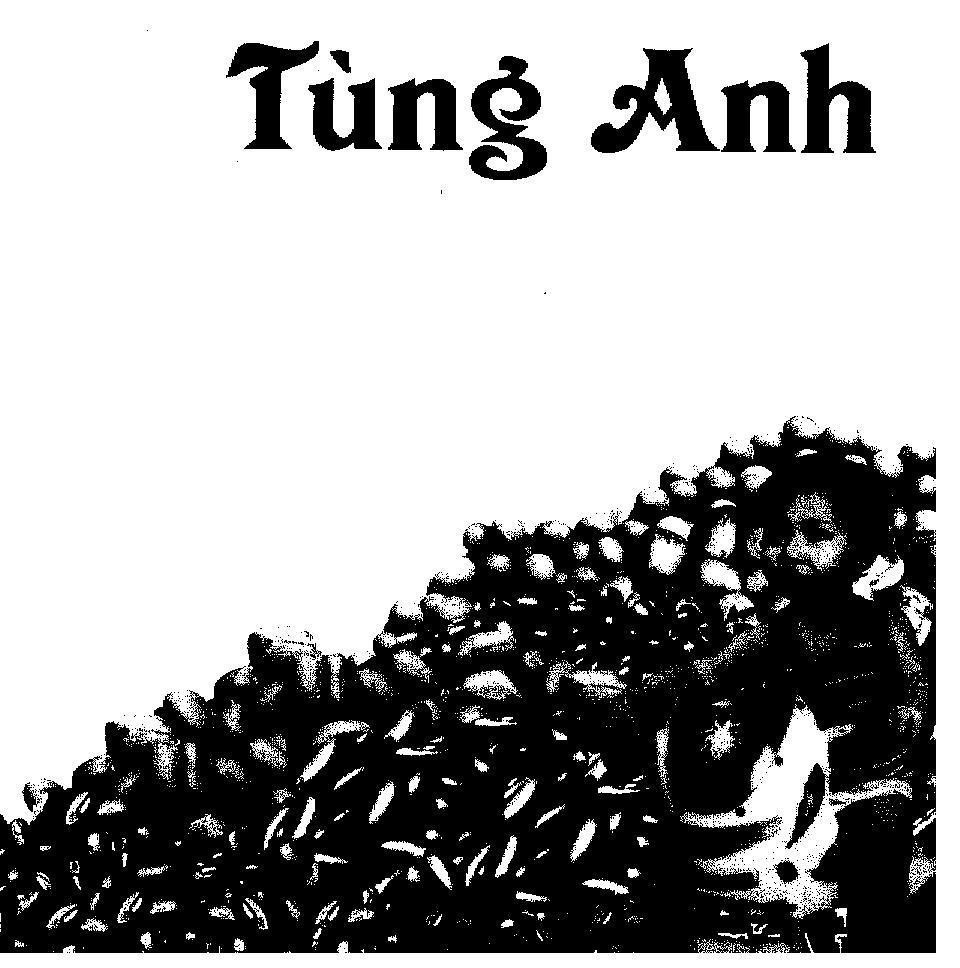 Mẫu nhãn hiệu TùNG ANH