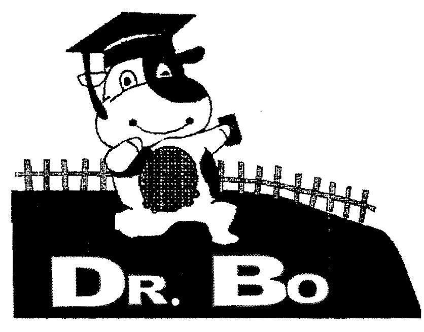 Mẫu nhãn hiệu DR BO